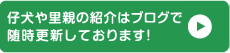 仔犬や里親の紹介はブログで随時更新しております!
