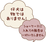 仔犬は物ではありません! ショーケースに入れての販売は一切いたしません